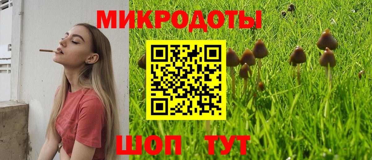 закладки  Галлюциногенные грибы мухоморы  Галлюциногенные грибы GOLDEN TEACHER  Вход с VPN  Приморско-Ахтарск 
